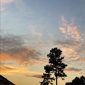 Meet your Posher, Roxy